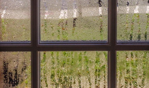Window Moisture: What Your Windows Are Trying to Tell You